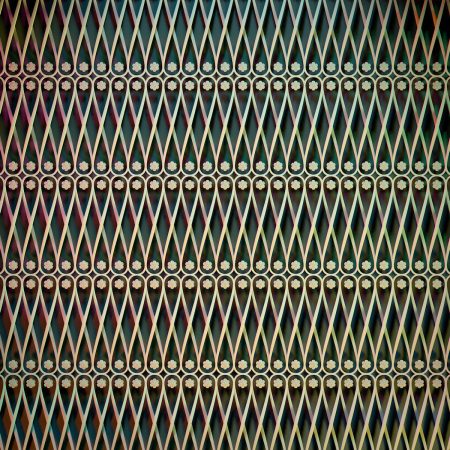 Driver’s License 1